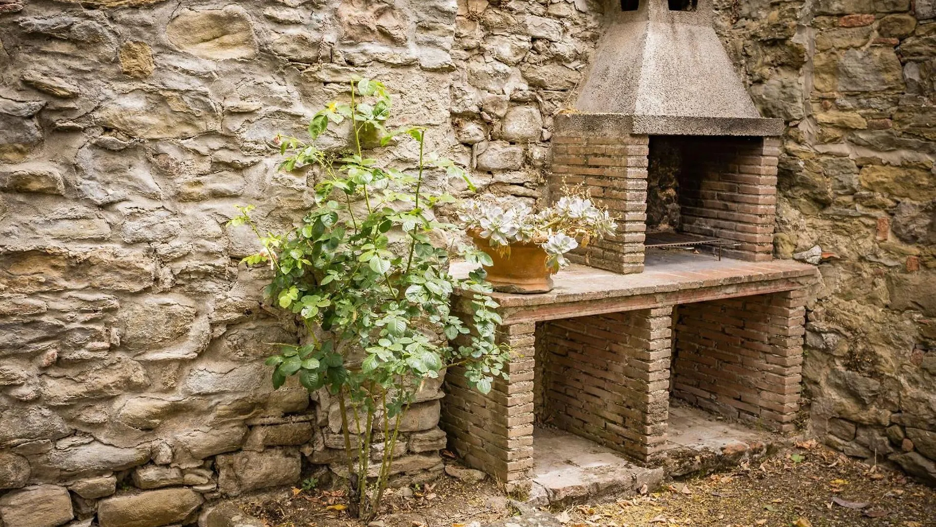 Appartamento Il Glicine Cortona
